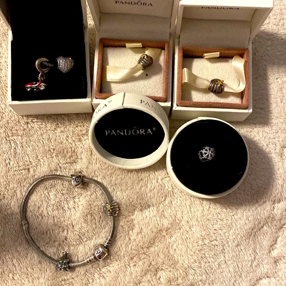 Pandora Bundle - image 6